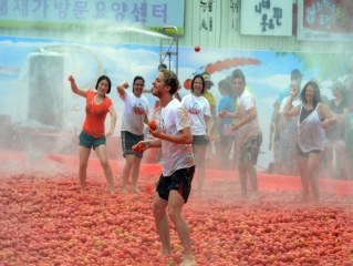 [8월] 화천 토마토축제 3번째 이미지