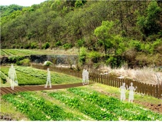 [화천] DMZ 사방거리 평화생태문화마을 3번째 이미지