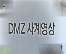 DMZ 사계영상